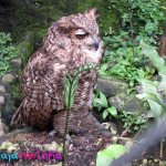 Zoologico Matecaña
