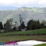Paisaje Paipa